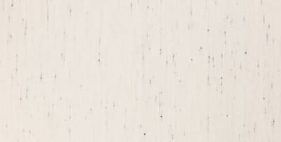 Birch 24 204