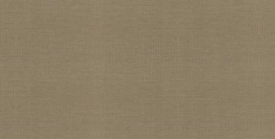 Chamois Tweed 24 494