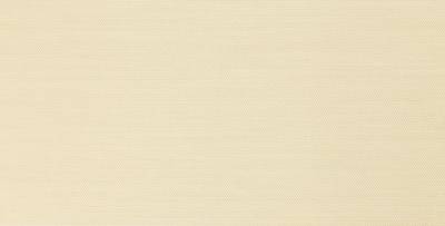 Cashew 24 308
